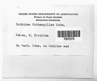 Image Associated With the Occurence